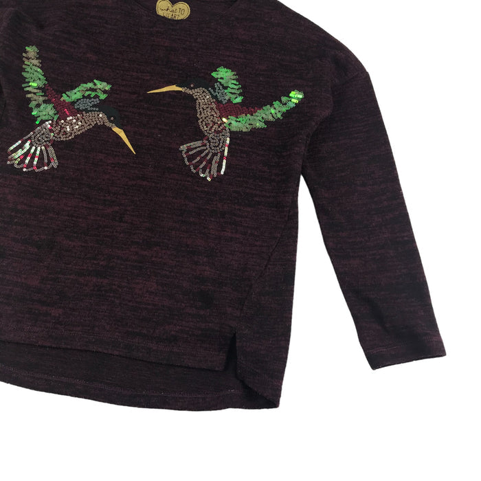 F&F 9 years dark burgundy sequin humming birds jumper