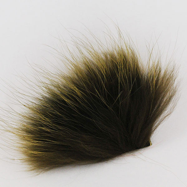 Finnish Raccoon