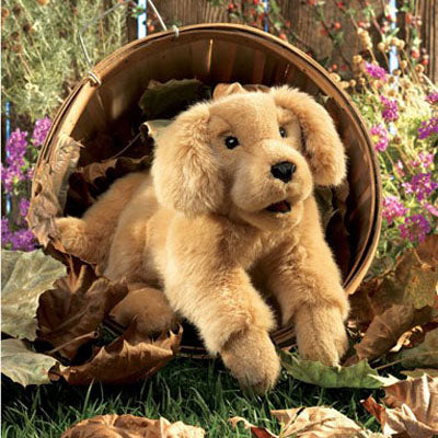 Folkmanis - Golden Retriever Puppet