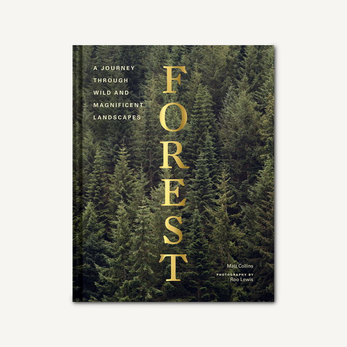 Forest - A Journey Through Wild and Magnificent Landscapes