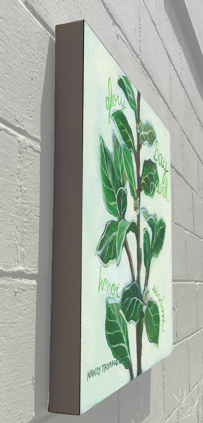 Gallery Grand - Herbs Bay Laurel