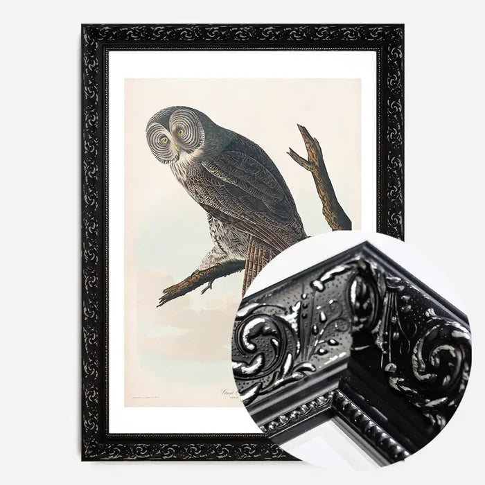 21x30cm | 8¼ x 11¾in / Black Ornate Frame