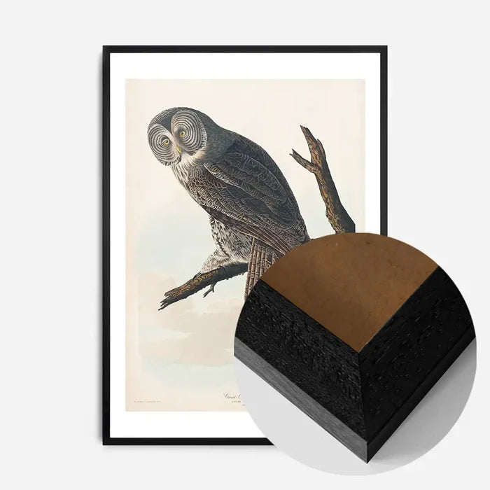 21x30cm | 8¼ x 11¾in / Black Wood Frame