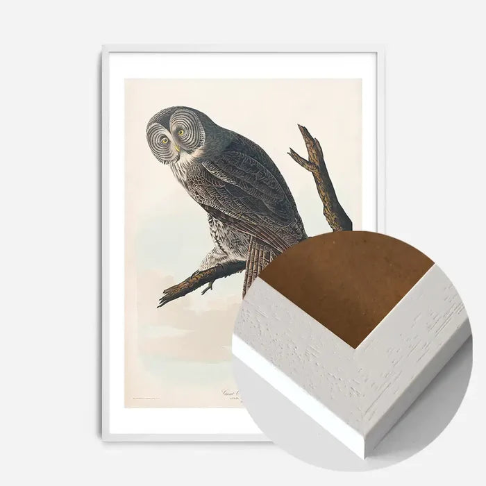 21x30cm | 8¼ x 11¾in / White Wood Frame