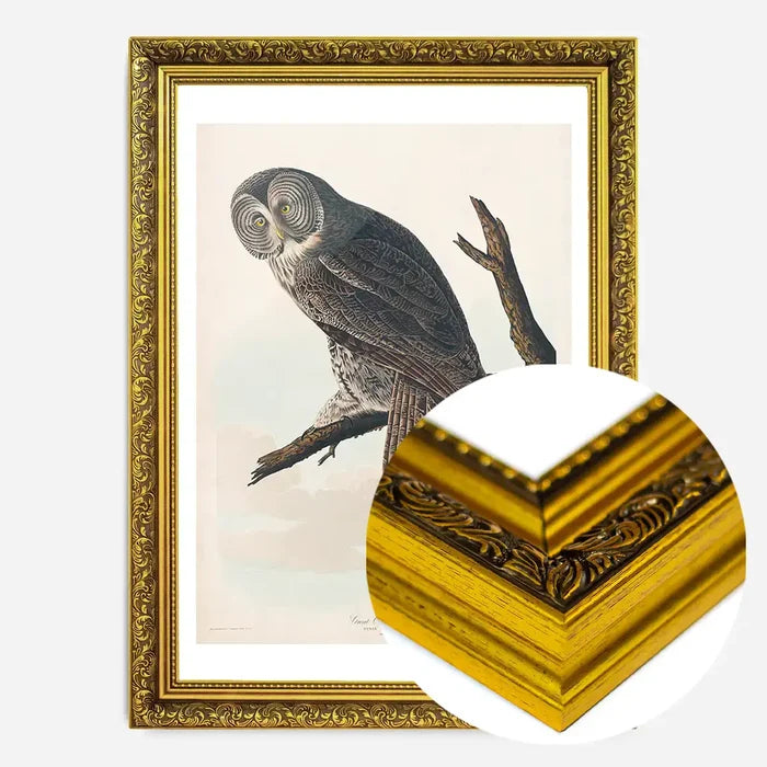 21x30cm | 8¼ x 11¾in / Gold Ornate Frame
