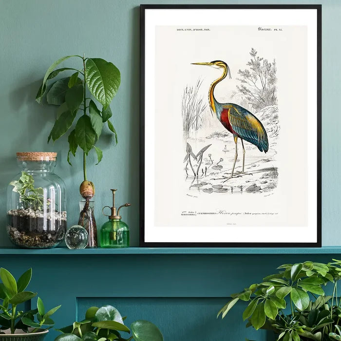 Heron Vintage Bird Print black framed on a living room shelf