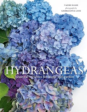 Hydrangeas - Beautiful Varieties for Home and Garden
