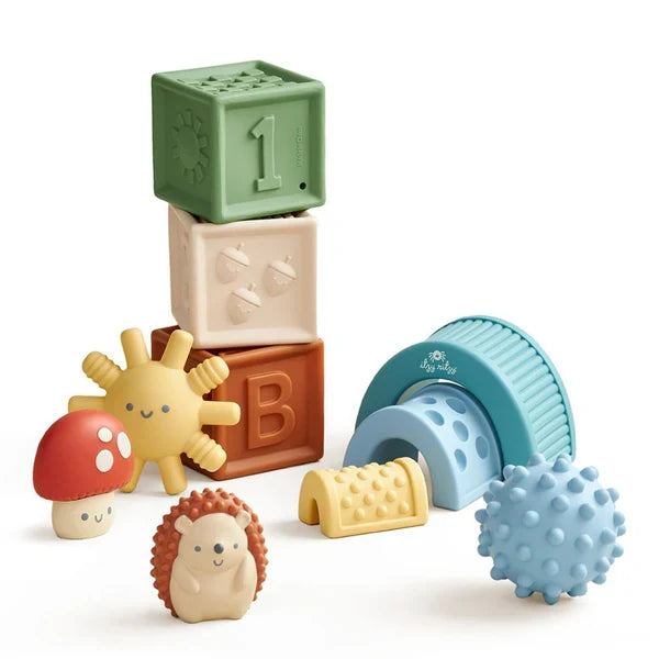 Itzy Ritzy Sensory Blocks