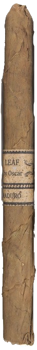 Leaf by Oscar Lancero Maduro