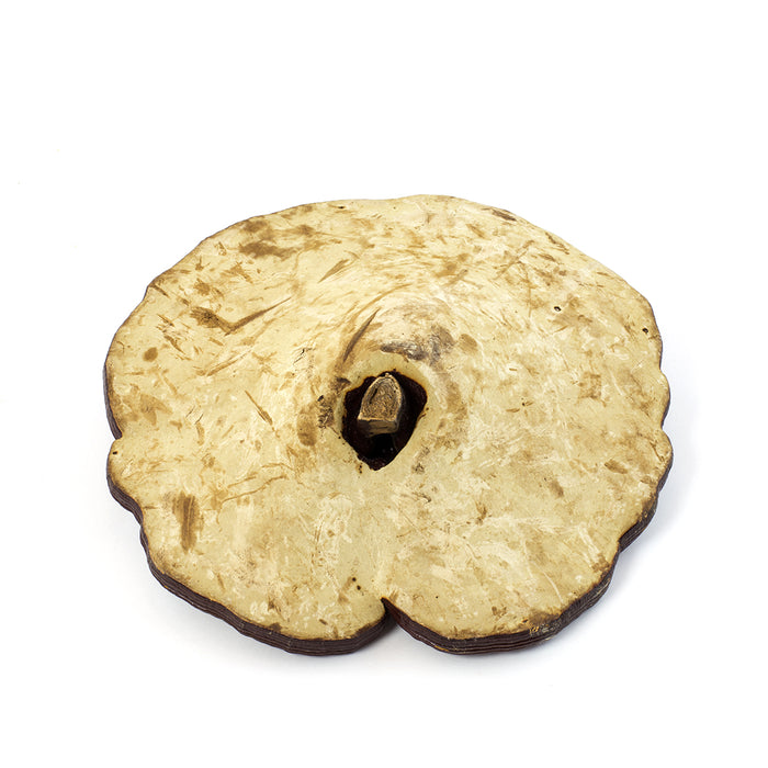 Lucid Ganoderma / Red Ling Zhi (16oz)