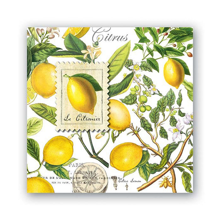 Michel Design Works - Lemon Basil Luncheon Napkin Set