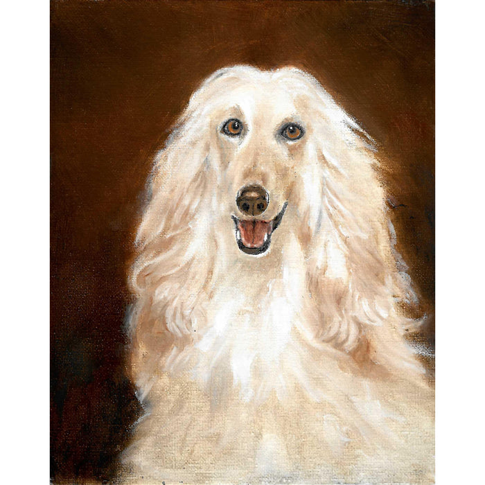 Original Dog Portrait Oil Painting - Afghan Hound