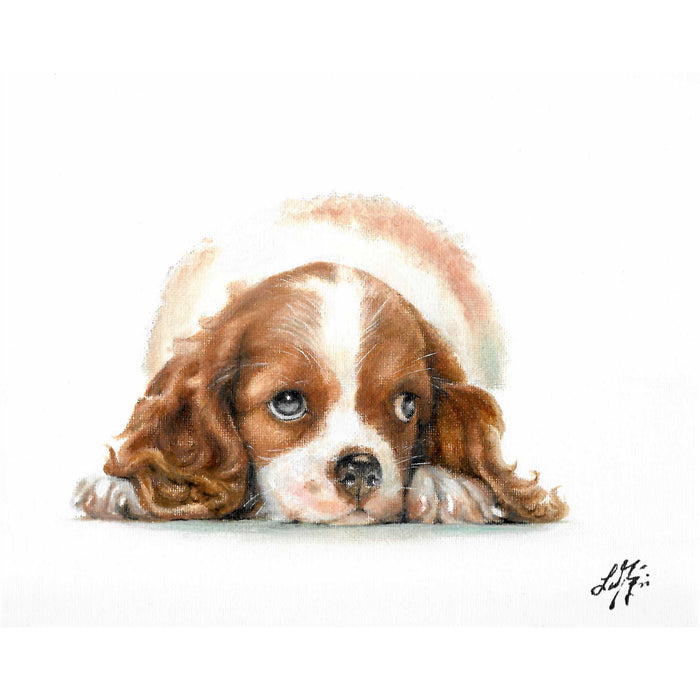 Original Dog Portrait Oil Painting - Cavalier King Charles Spaniel