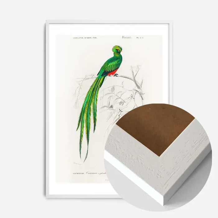 21x30cm | 8¼ x 11¾in / White Wood Frame