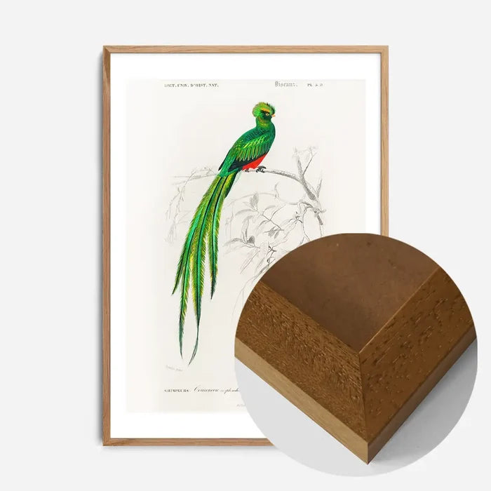 21x30cm | 8¼ x 11¾in / Oak Wood Frame