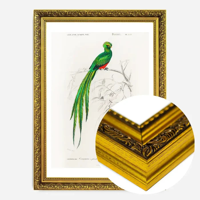 21x30cm | 8¼ x 11¾in / Gold Ornate Frame