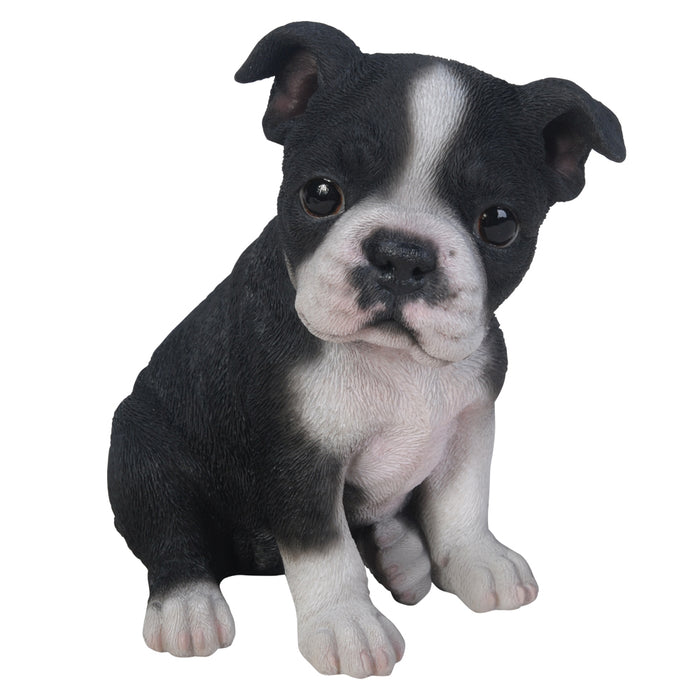Puppy Dogs - Boston Terrier Figurine