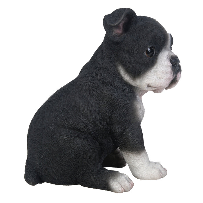 Puppy Dogs - Boston Terrier Figurine