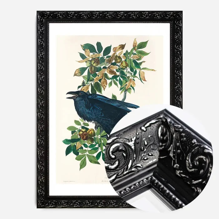21x30cm | 8¼ x 11¾in / Black Ornate Frame
