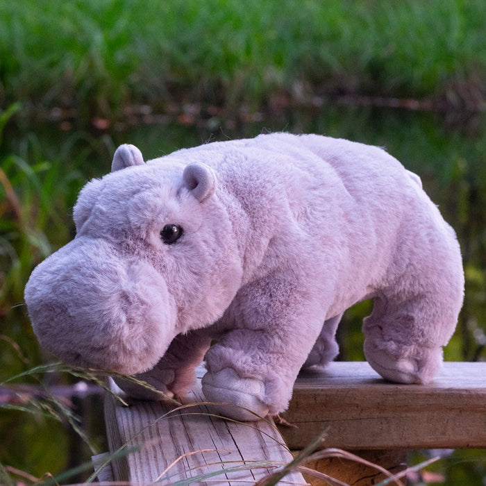 "Sale" Douglas Cuddle Toys - Hollie Hippo Softie Plush Stuffed Animal Plushie 15047