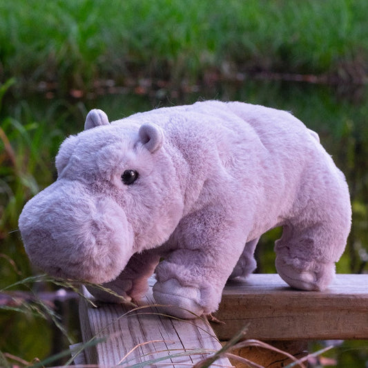 "Sale" Douglas Cuddle Toys - Hollie Hippo Softie Plush Stuffed Animal Plushie 15047