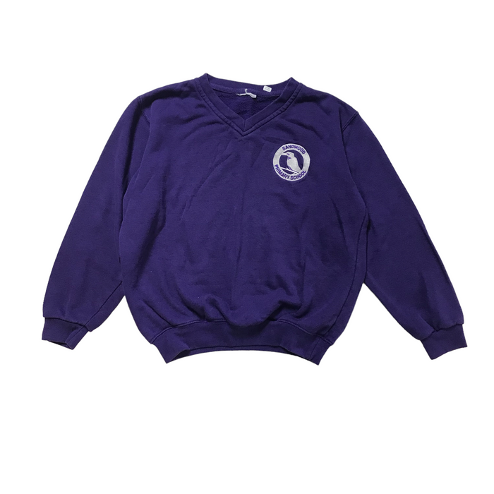 *Sandwood Primary Purple V-neck Sweatshirt
