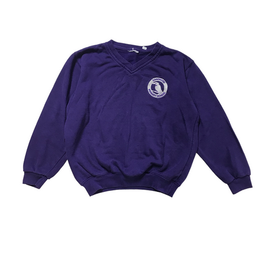 *Sandwood Primary Purple V-neck Sweatshirt