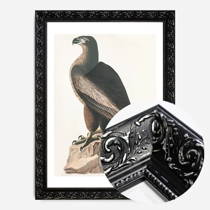 21x30cm | 8¼ x 11¾in / Black Ornate Frame