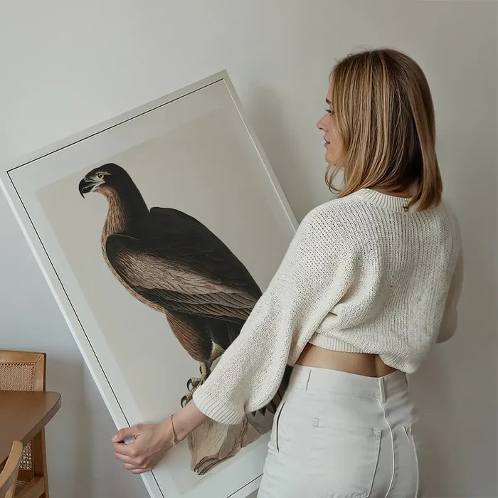 Sea Eagle Vintage Bird Print held up against a living room wall