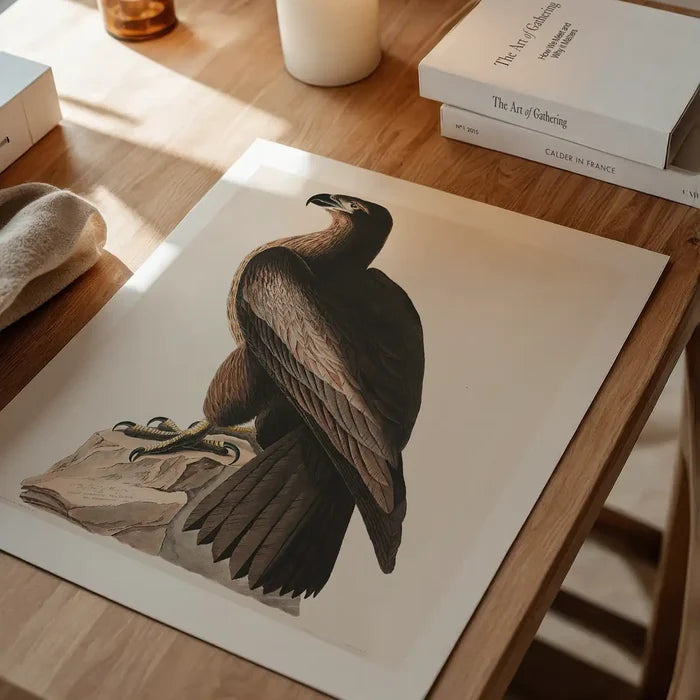 Sea Eagle Vintage Bird Print unframed on a home office desk