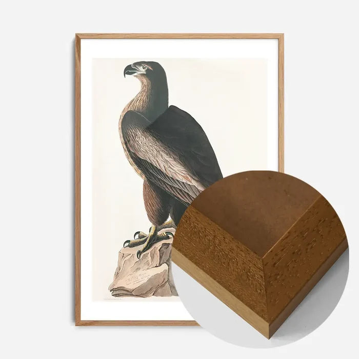 21x30cm | 8¼ x 11¾in / Oak Wood Frame