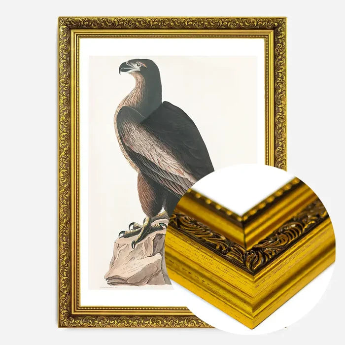 21x30cm | 8¼ x 11¾in / Gold Ornate Frame