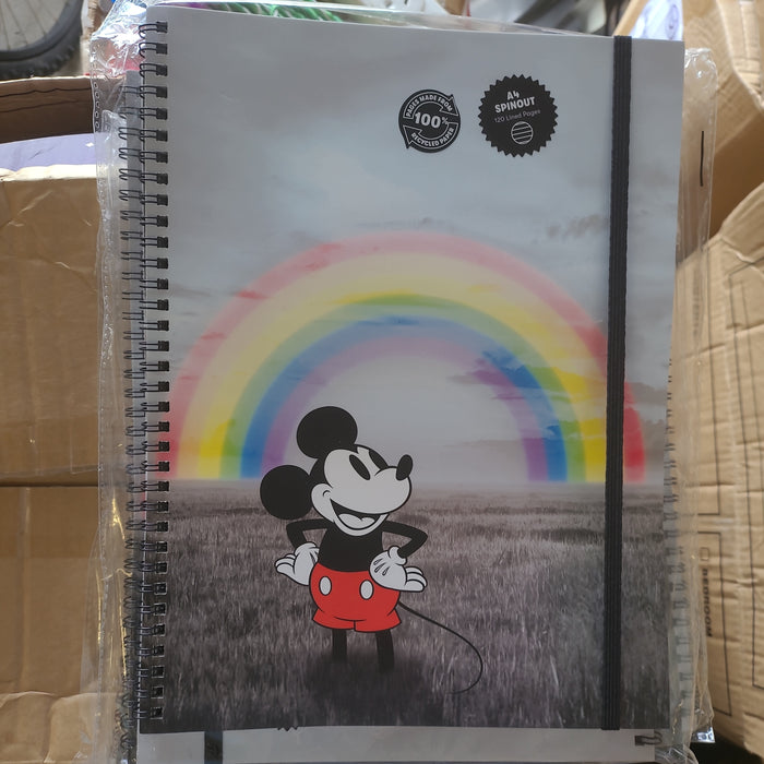 Small & Large Drawing/Scrapbooks