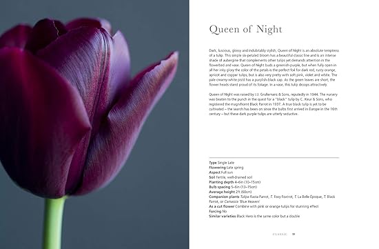 Tulips - Beautiful Varieties for Home and Garden