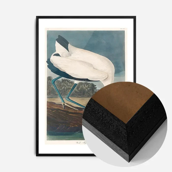 21x30cm | 8¼ x 11¾in / Black Wood Frame